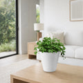 Respect White 20cm Repot Self Watering Planter