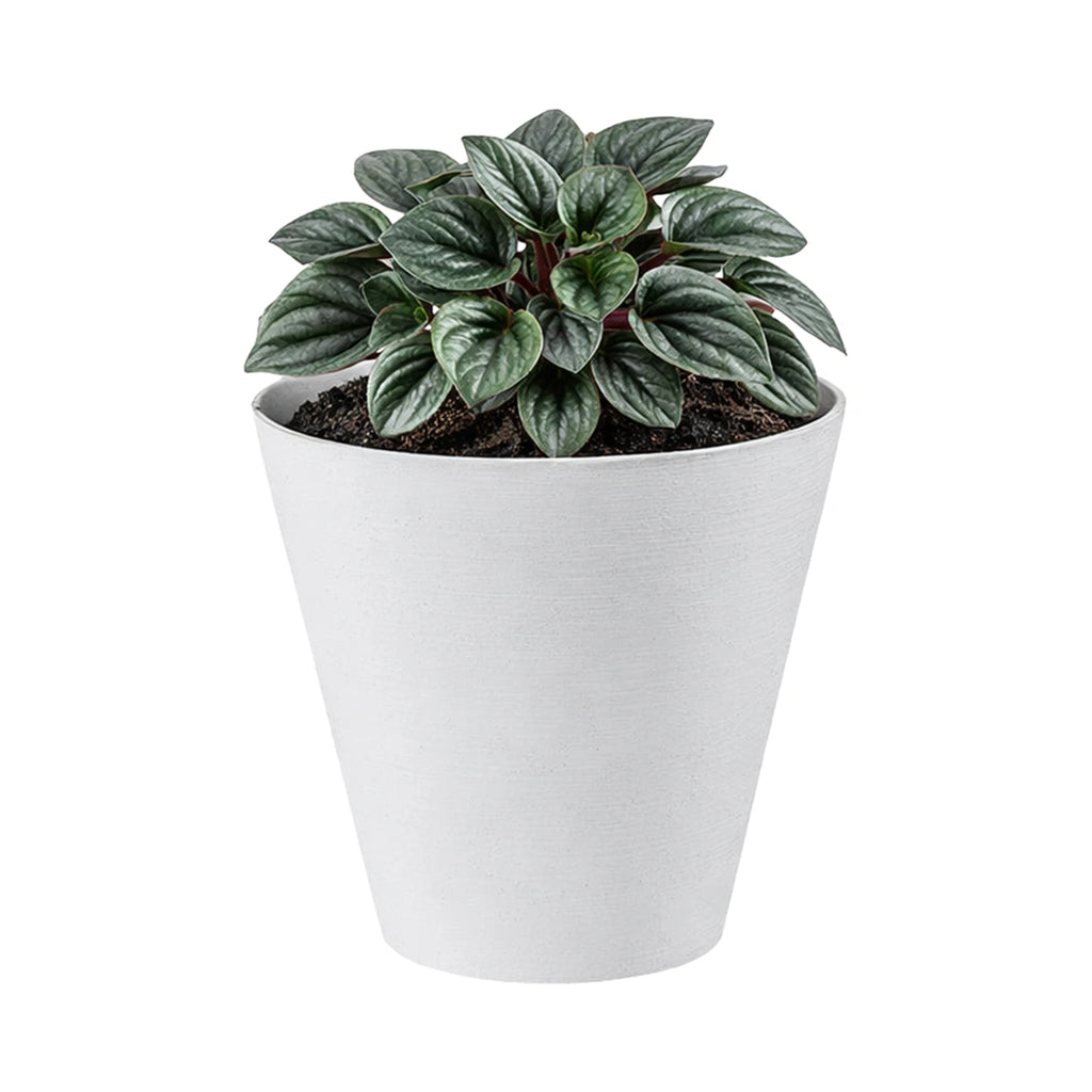 Respect White 20cm Repot Self Watering Planter