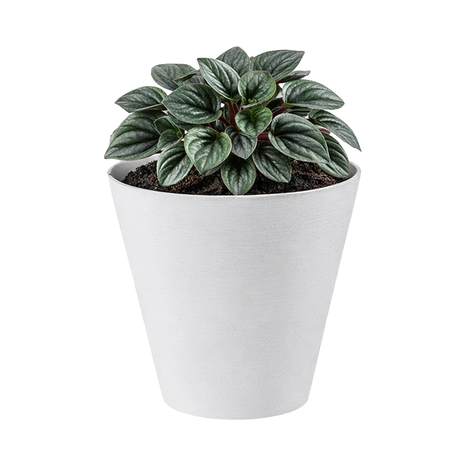 Respect White 20cm Repot Self Watering Planter
