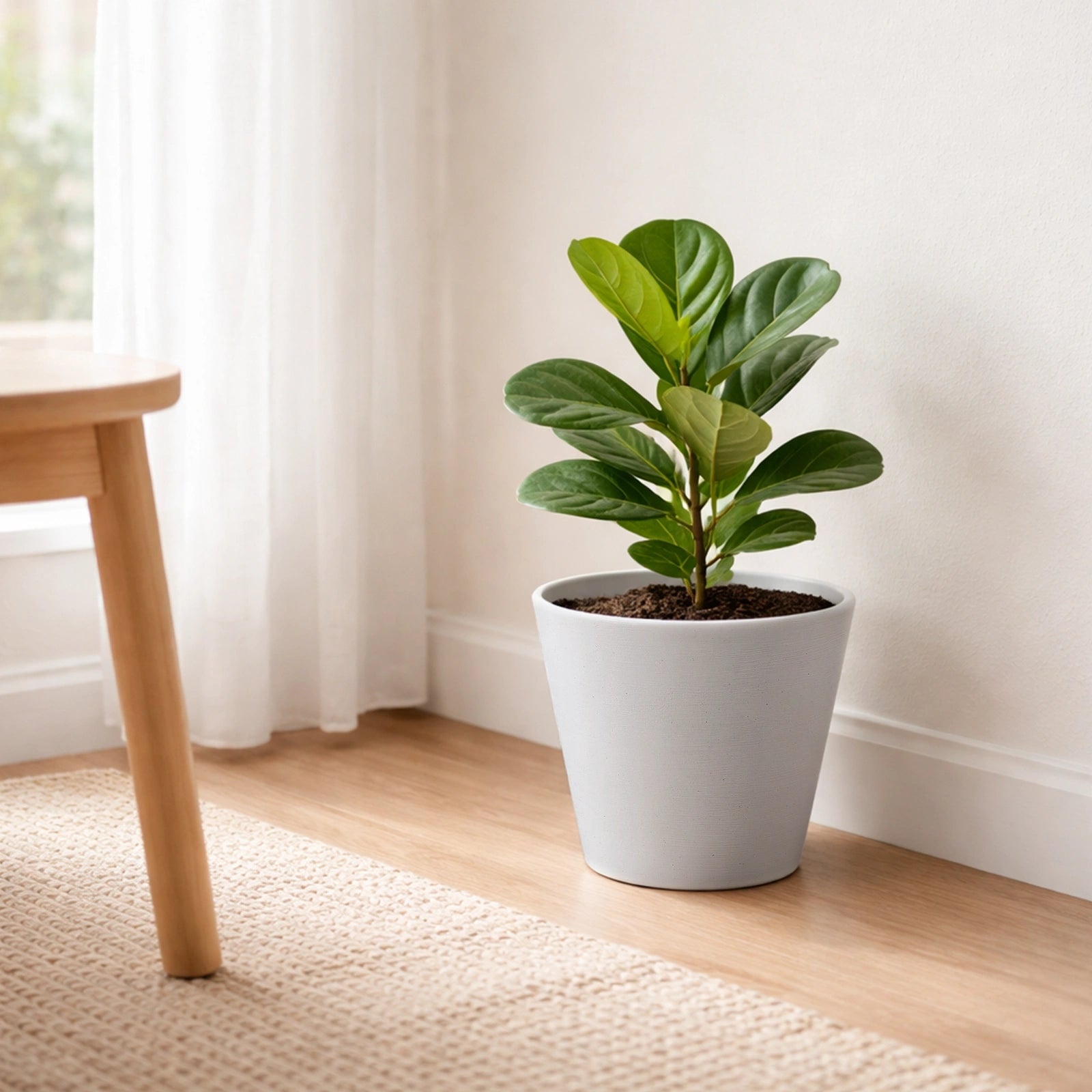 Respect White 20cm Repot Self Watering Planter