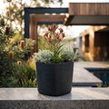 Respect Black 24cm Florence Self-Watering Pot
