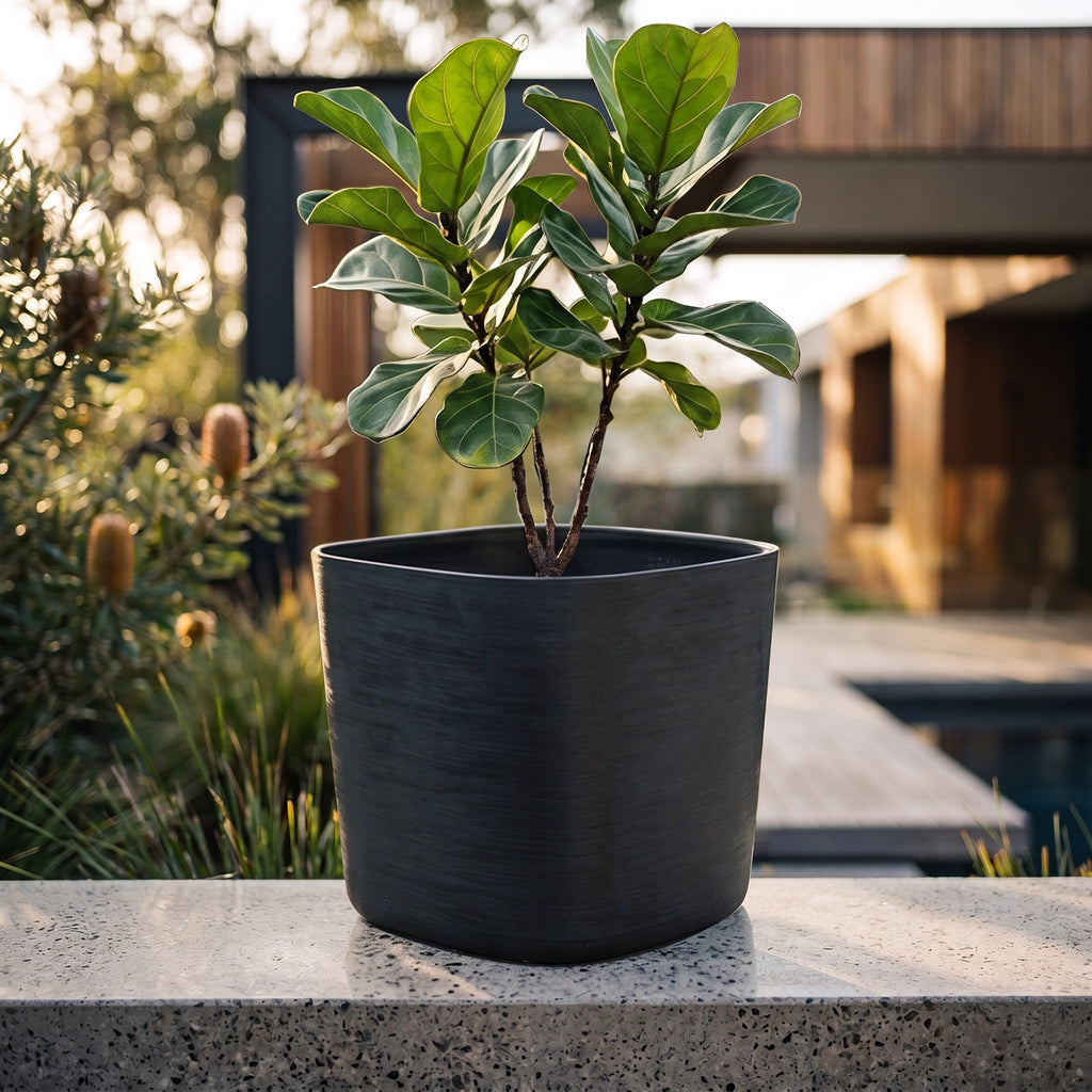Respect Black 29cm Florence Self-Watering Pot