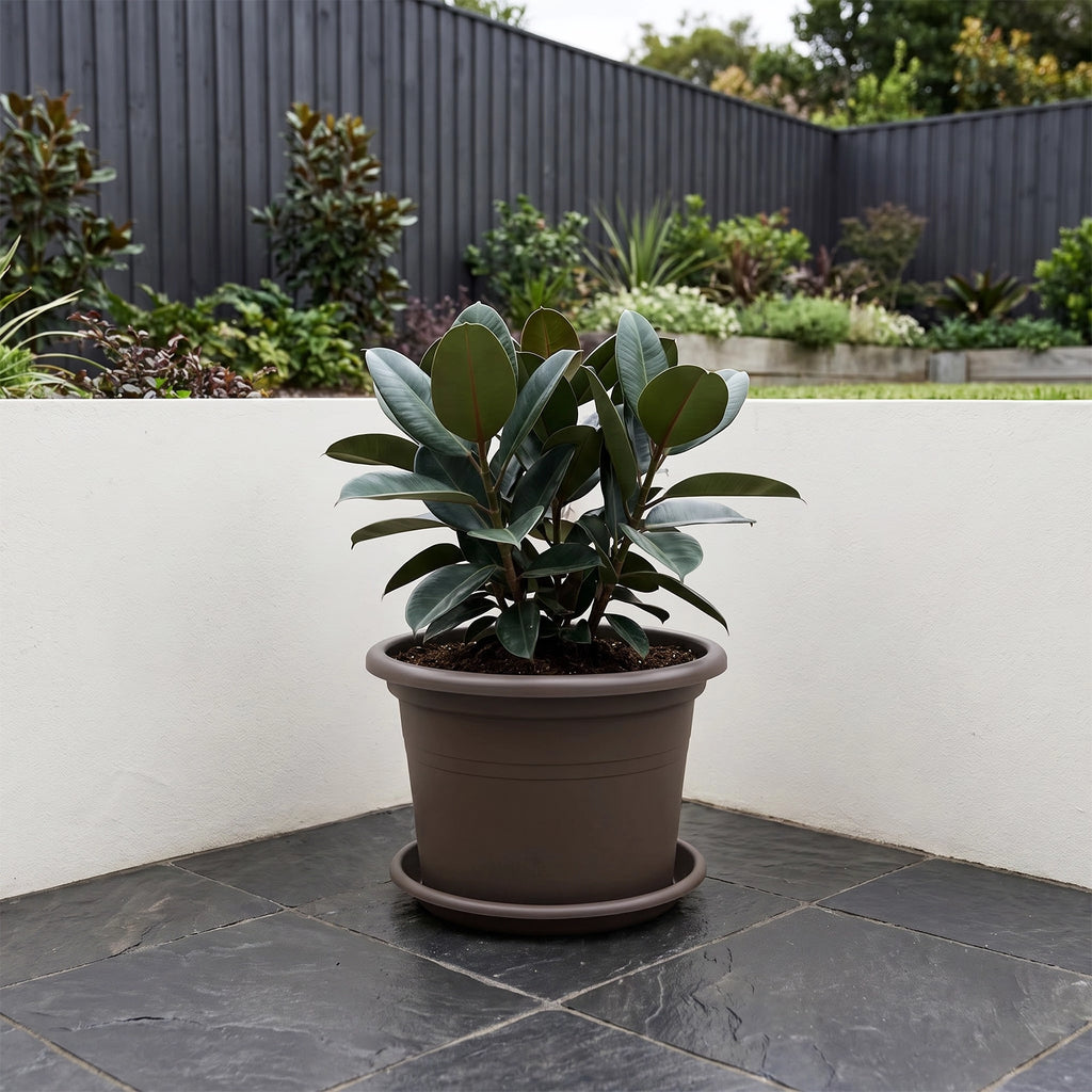 Respect Brown 30cm Cylinda Planter