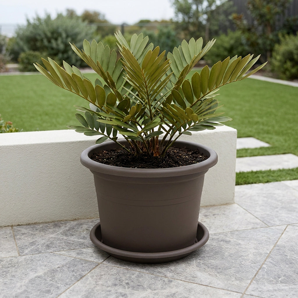 Respect Brown 40cm Cylinda Planter