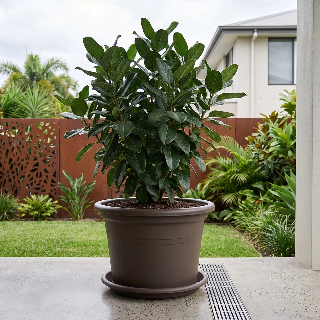 Respect Brown 60cm Cylinda Planter