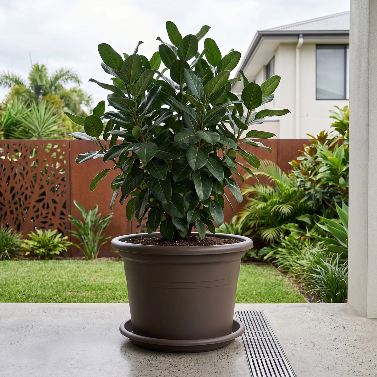 Respect Brown 60cm Cylinda Planter