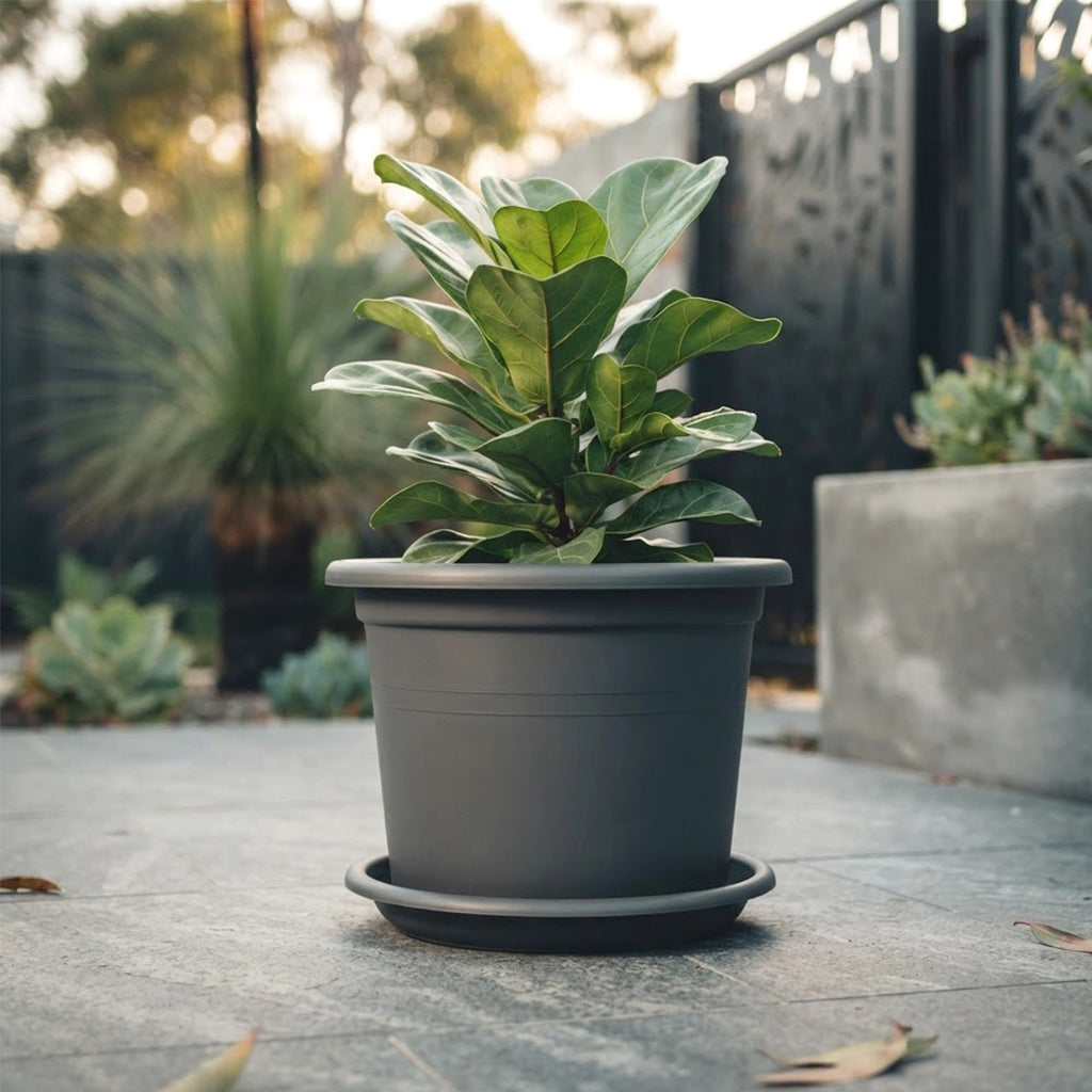 Respect Grey 50cm Cylinda Planter