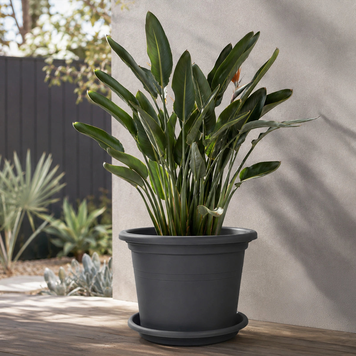 Respect Grey 60cm Cylinda Planter