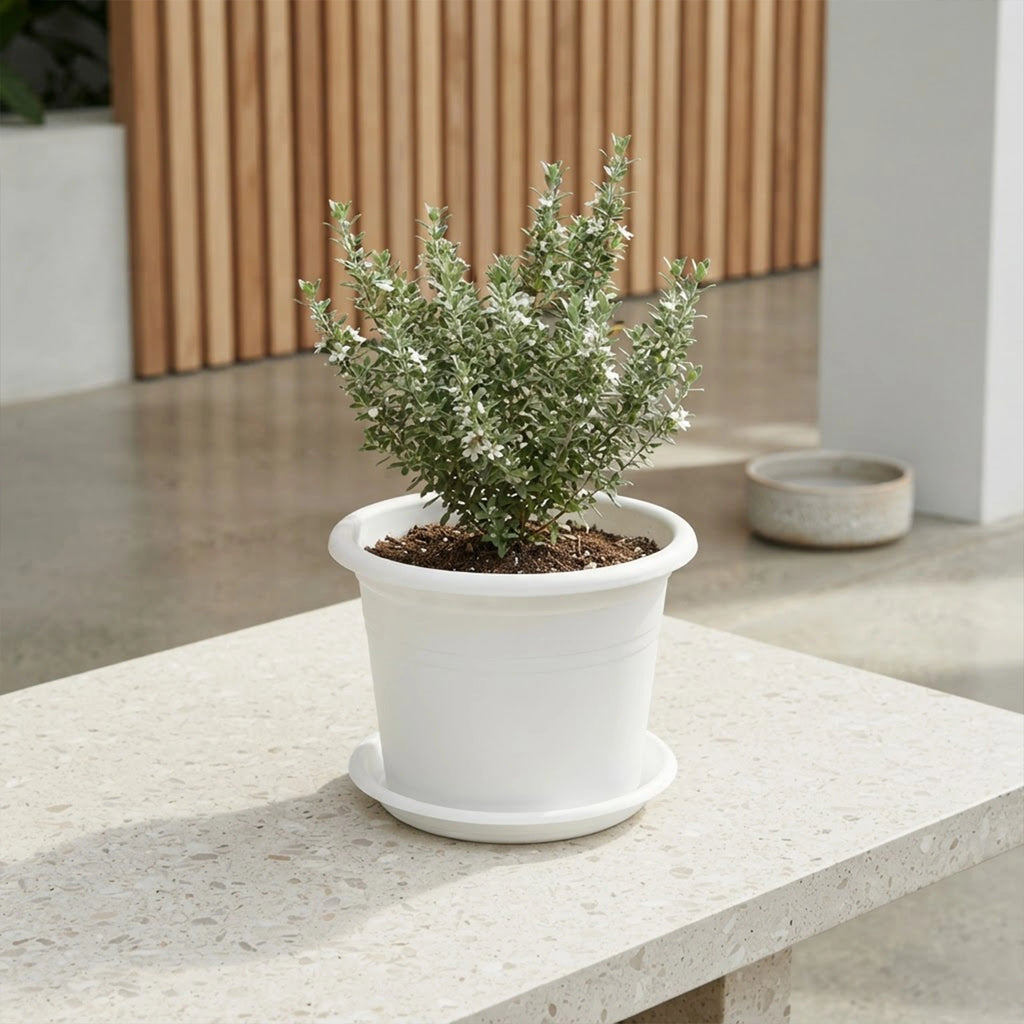 Respect White 30cm Cylinda Planter