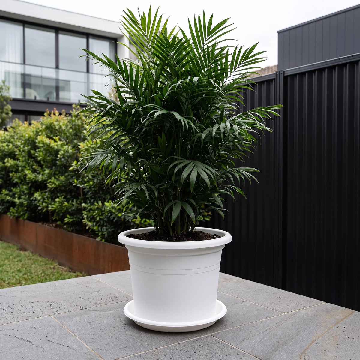 Respect White 50cm Cylinda Planter