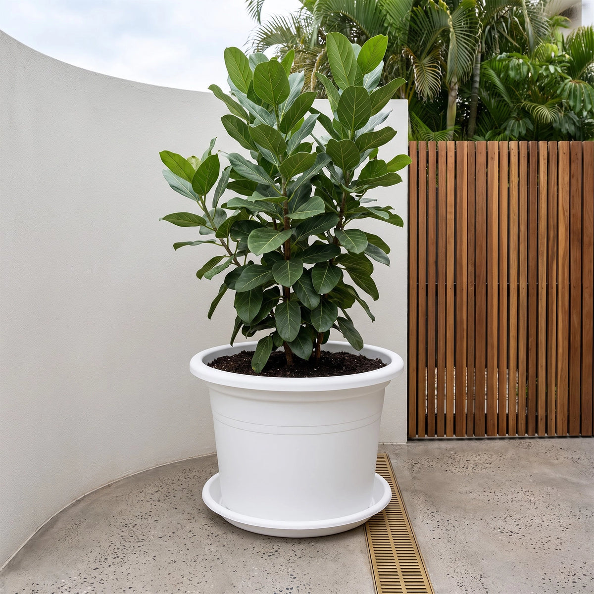 Respect White 60cm Cylinda Planter
