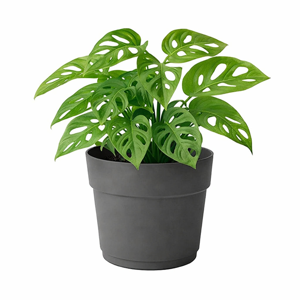 Respect Ash 24cm Cloud Bloom Self Watering Pot – ash grey modern self watering pot for indoor succulents and plants