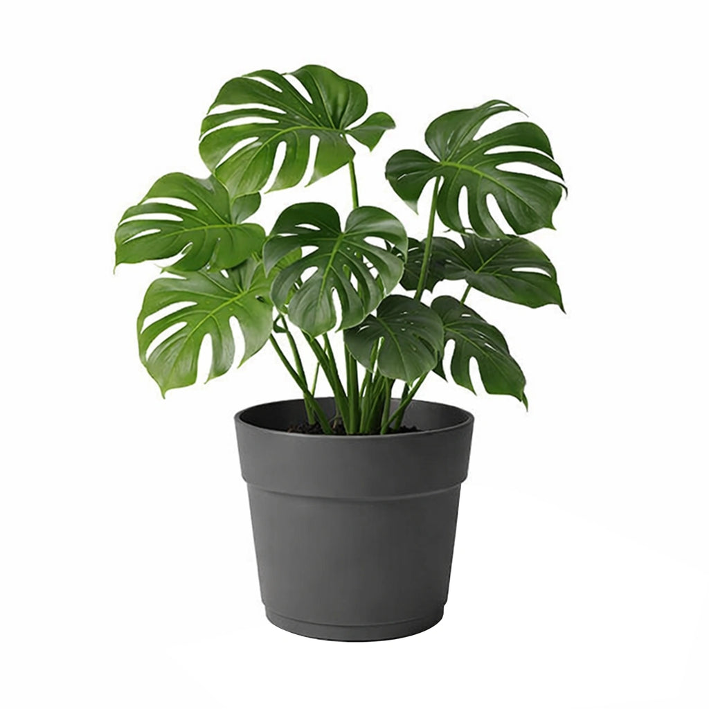 Respect Ash 38cm Bloom Self Watering Plastic Pot – large ash self watering planter for indoor and balcony plants