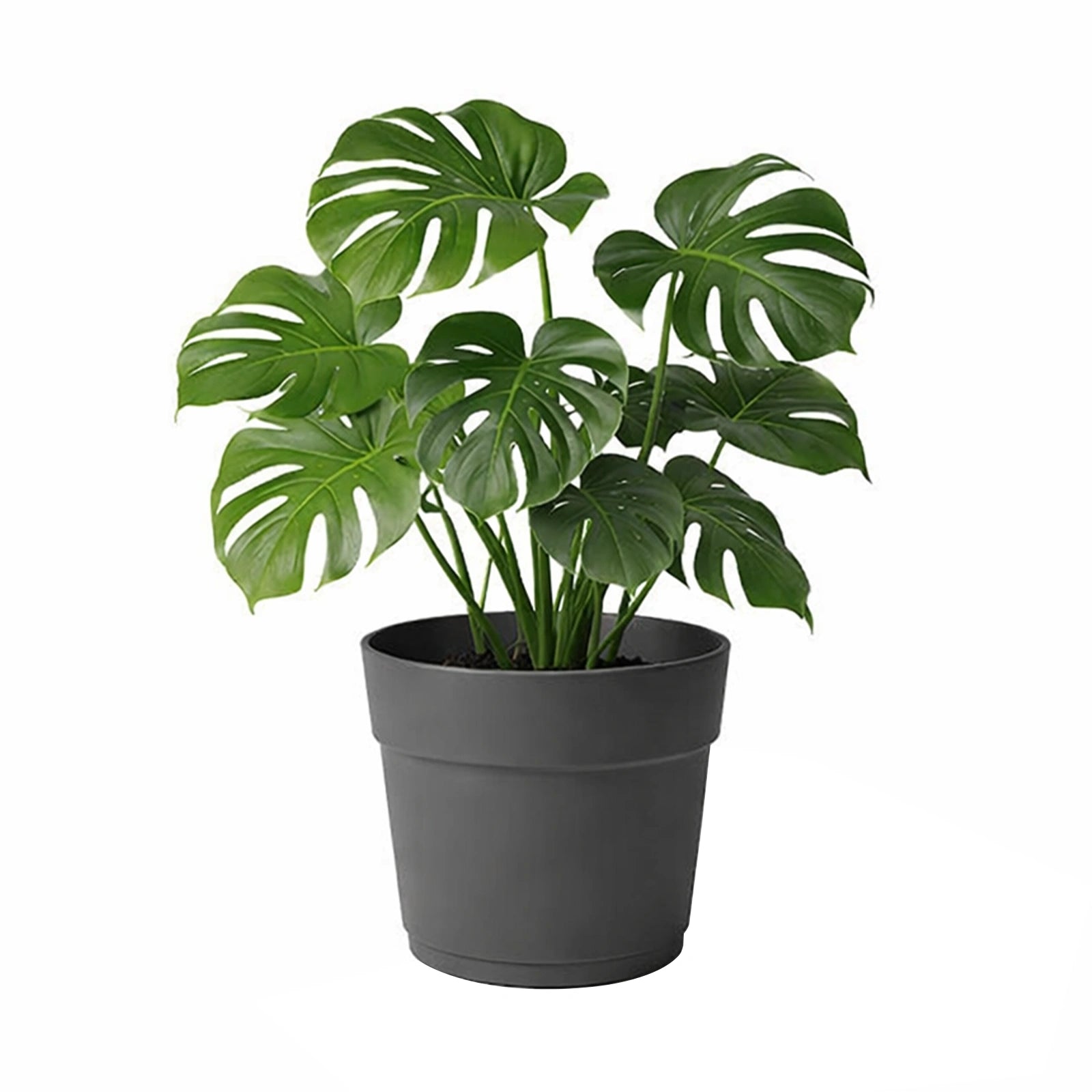 Respect Ash 38cm Bloom Self-Watering Plastic Pot