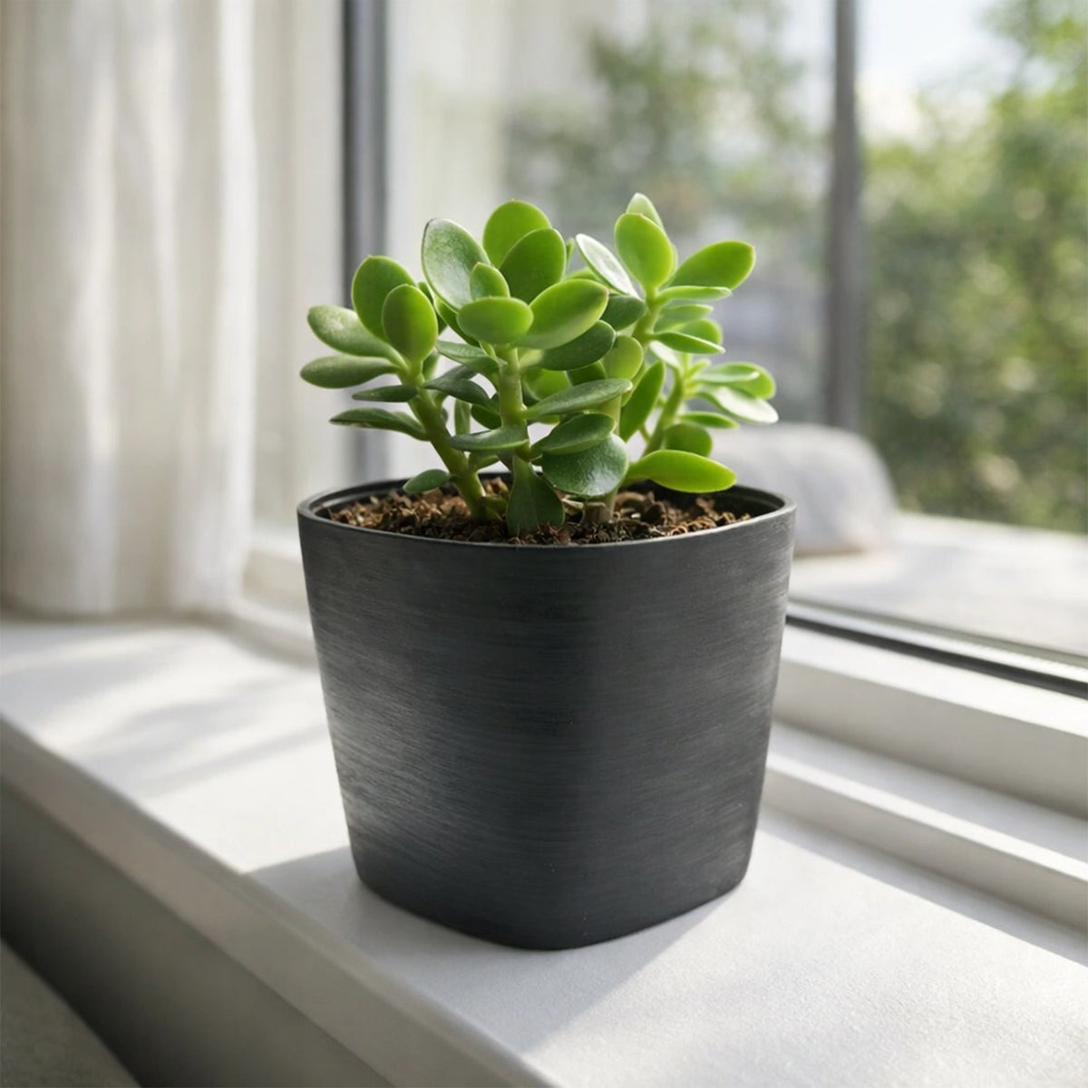 Respect Black 19cm Florence Self Watering Pot – compact black self watering pot for indoor herbs and small plants