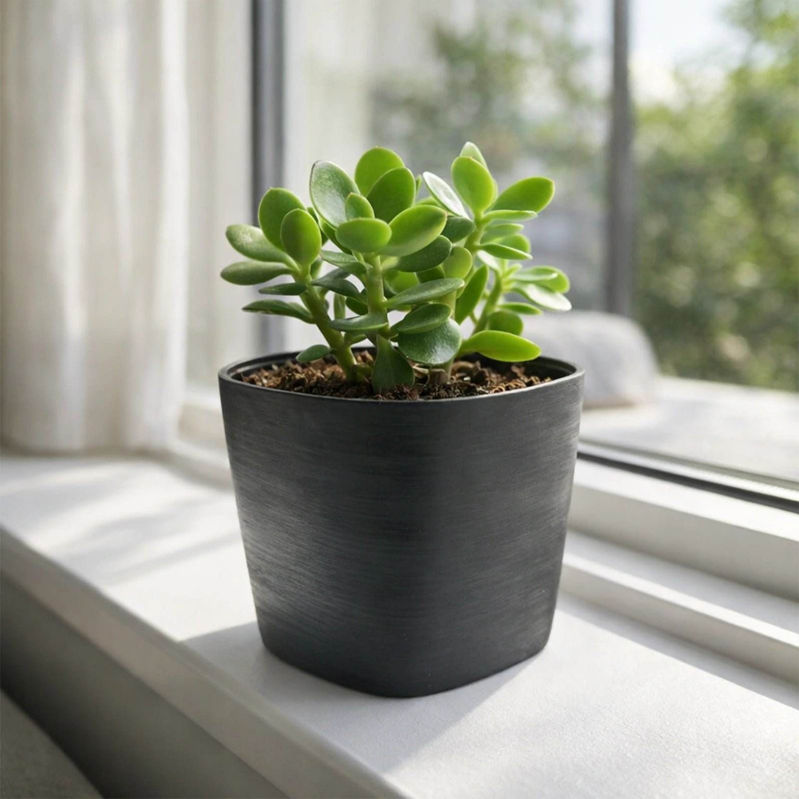 Respect Black 19cm Florence Self Watering Pot