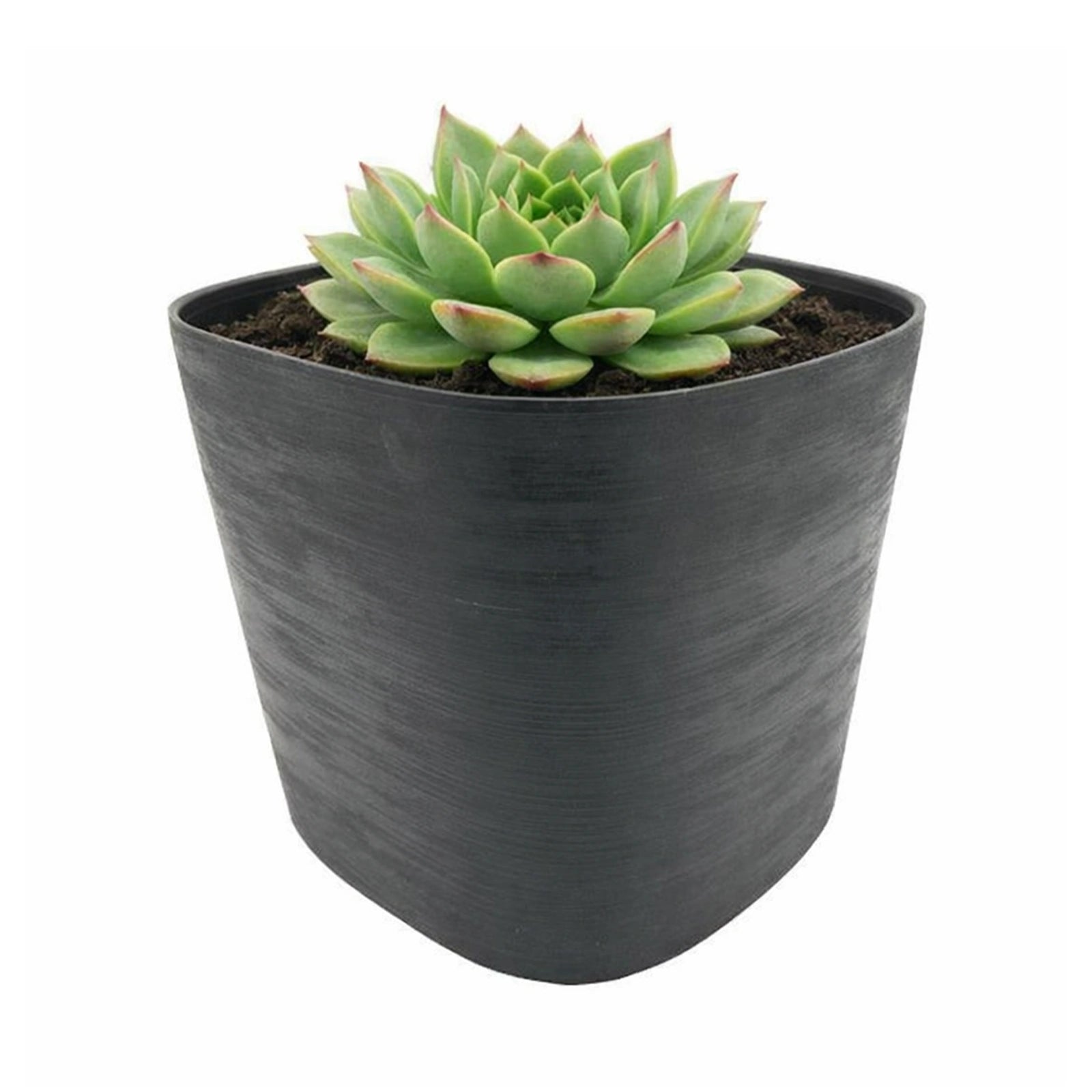 Respect Black 19cm Florence Self Watering Pot