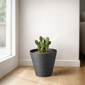 Respect Black 20cm Repot Self Watering Planter – modern black self watering repot planter for indoor and patio plants