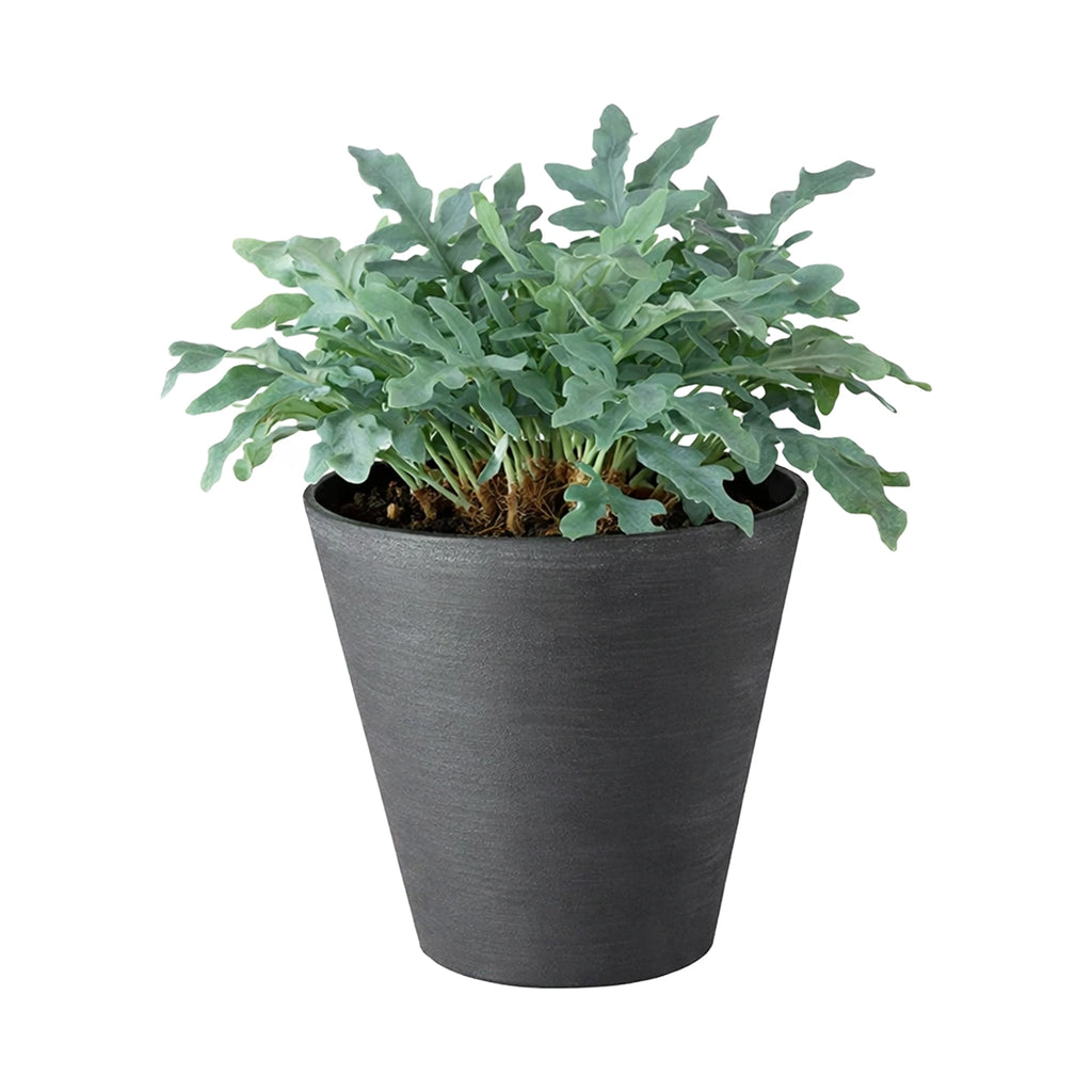 Respect Black 20cm Repot Self Watering Planter – modern black self watering repot planter for indoor and patio plants