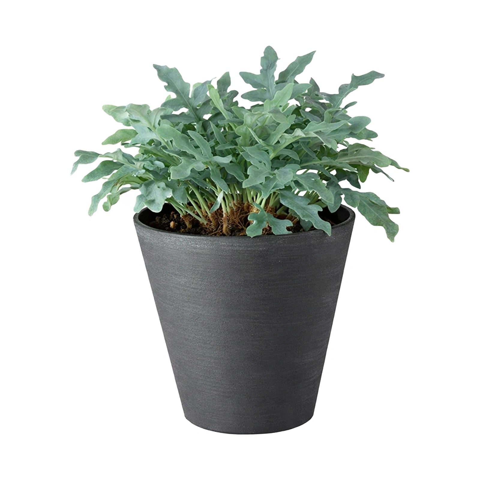 Respect Black 20cm Repot Self-Watering Planter