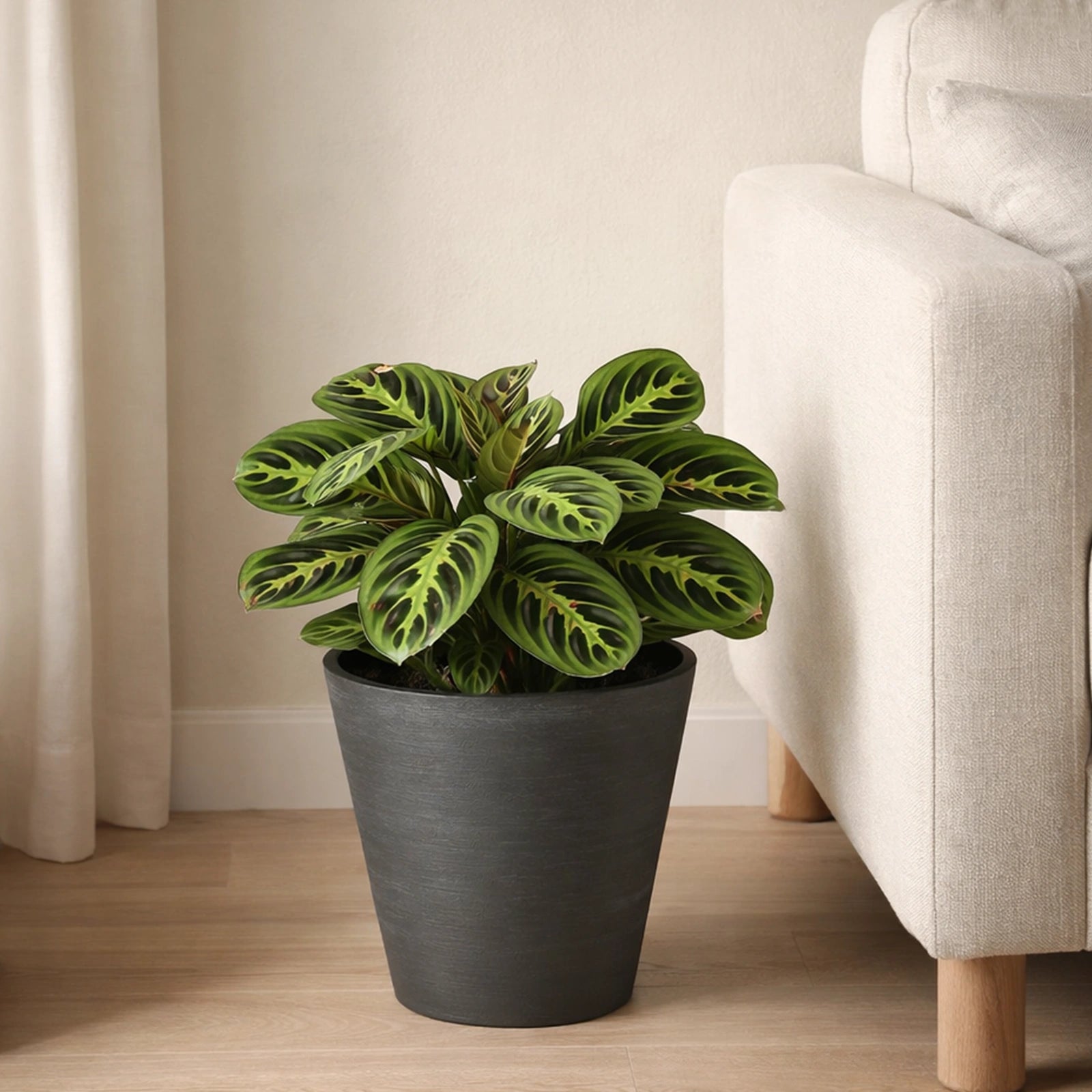 Respect Black 20cm Repot Self-Watering Planter