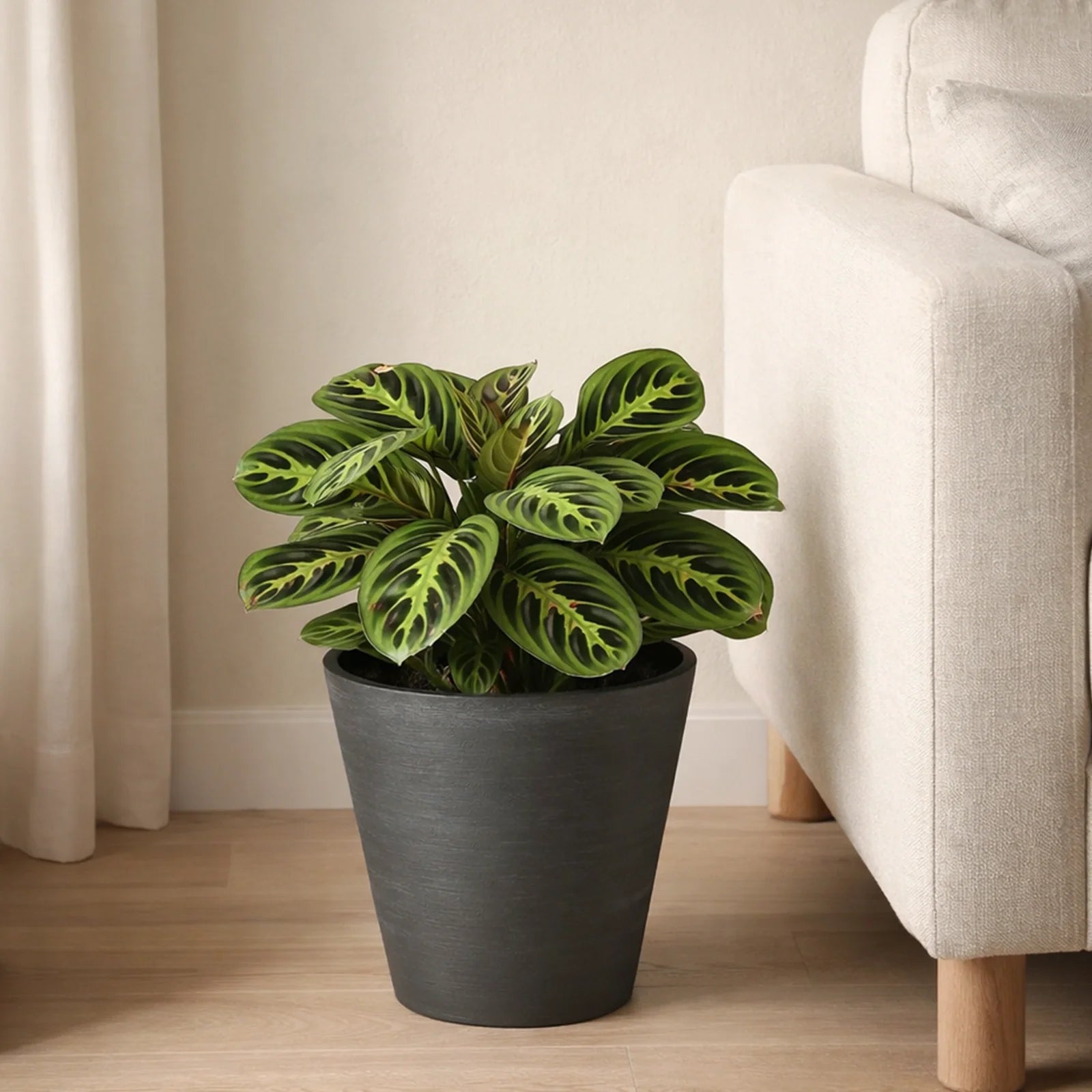 Respect Black 20cm Repot Self Watering Planter – modern black self watering repot planter for indoor and patio plants
