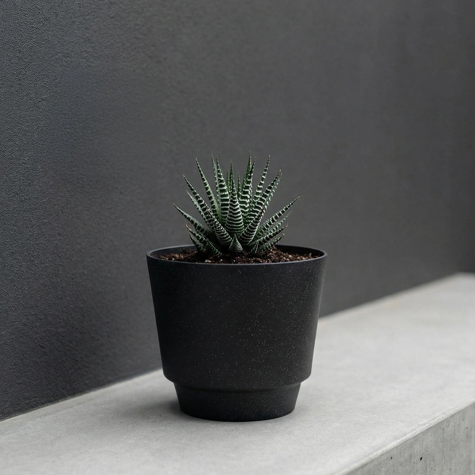 Respect Black 20cm Round Calais Self-Watering Plastic Pot Stonelook