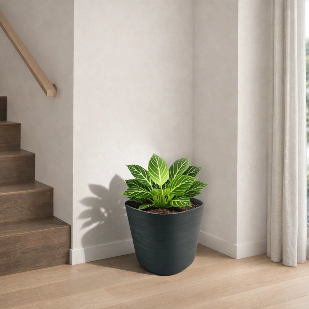 Respect Black 24cm Florence Self Watering Pot