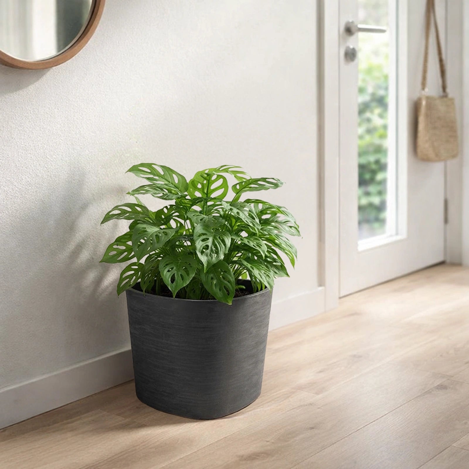 Respect Black 24cm Florence Self Watering Pot