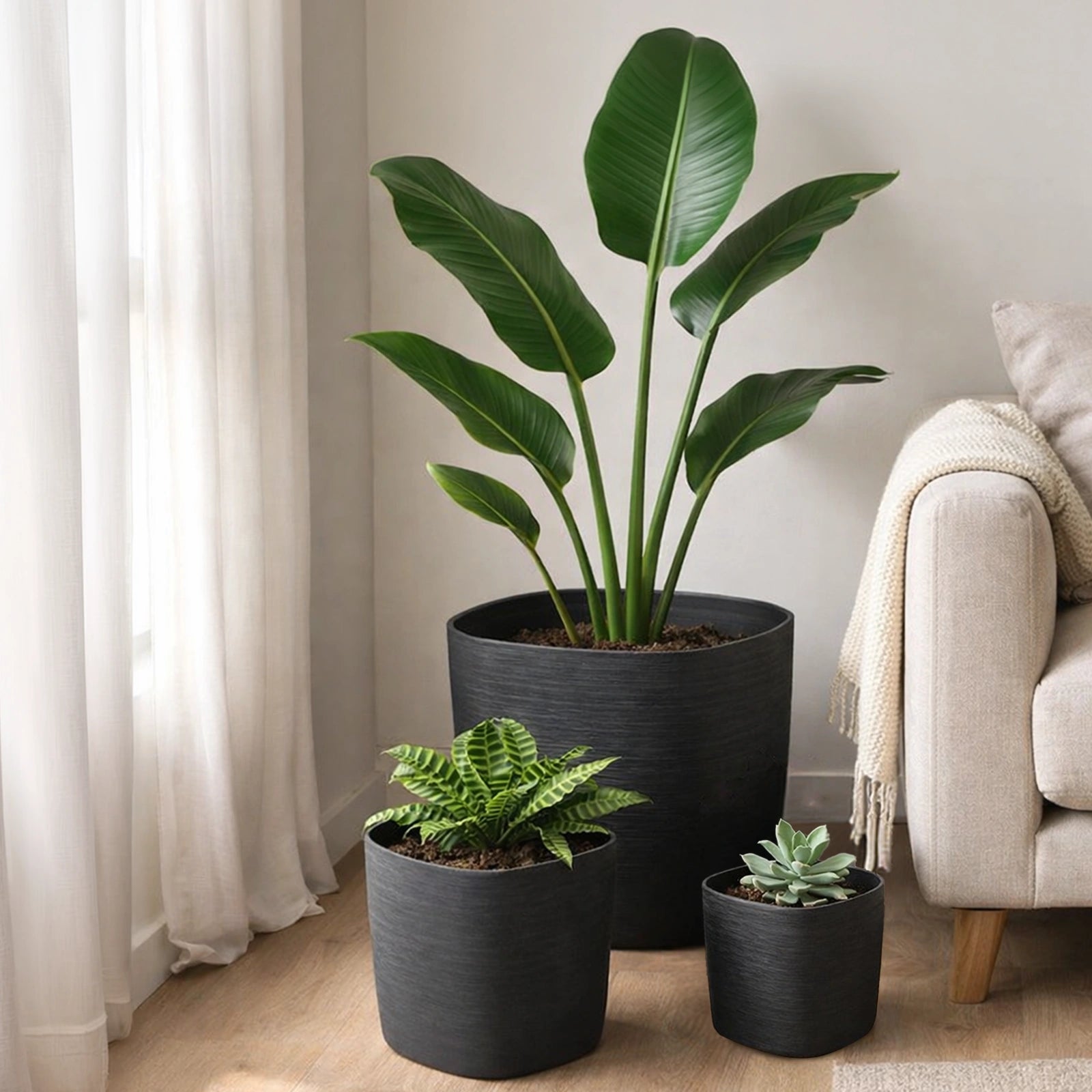 Respect Black 24cm Florence Self Watering Pot