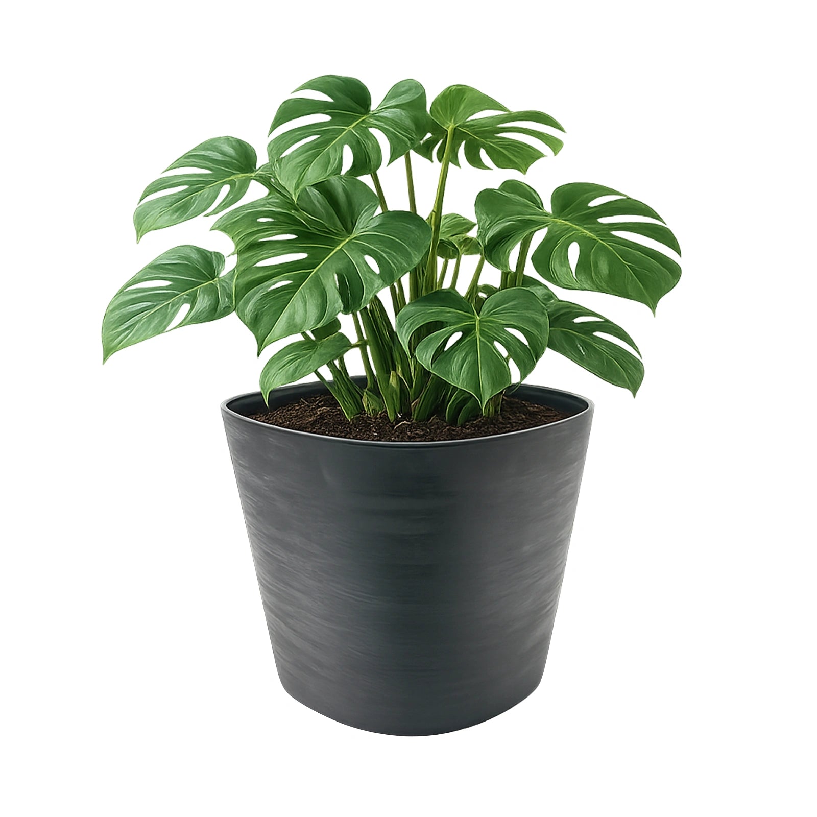 Respect Black 29cm Florence Self Watering Pot