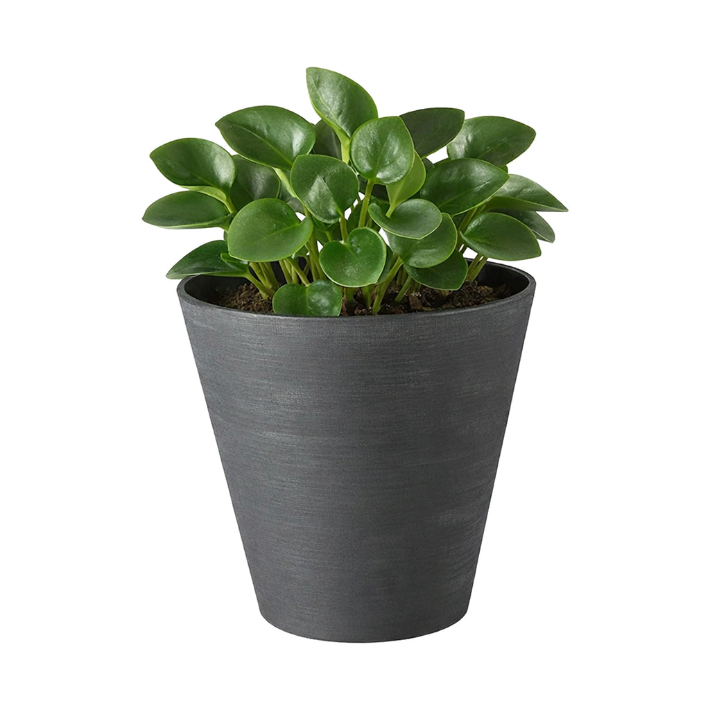 Respect Black 30cm Repot Self Watering Planter – large black plastic self watering repot pot for indoor and outdoor plants