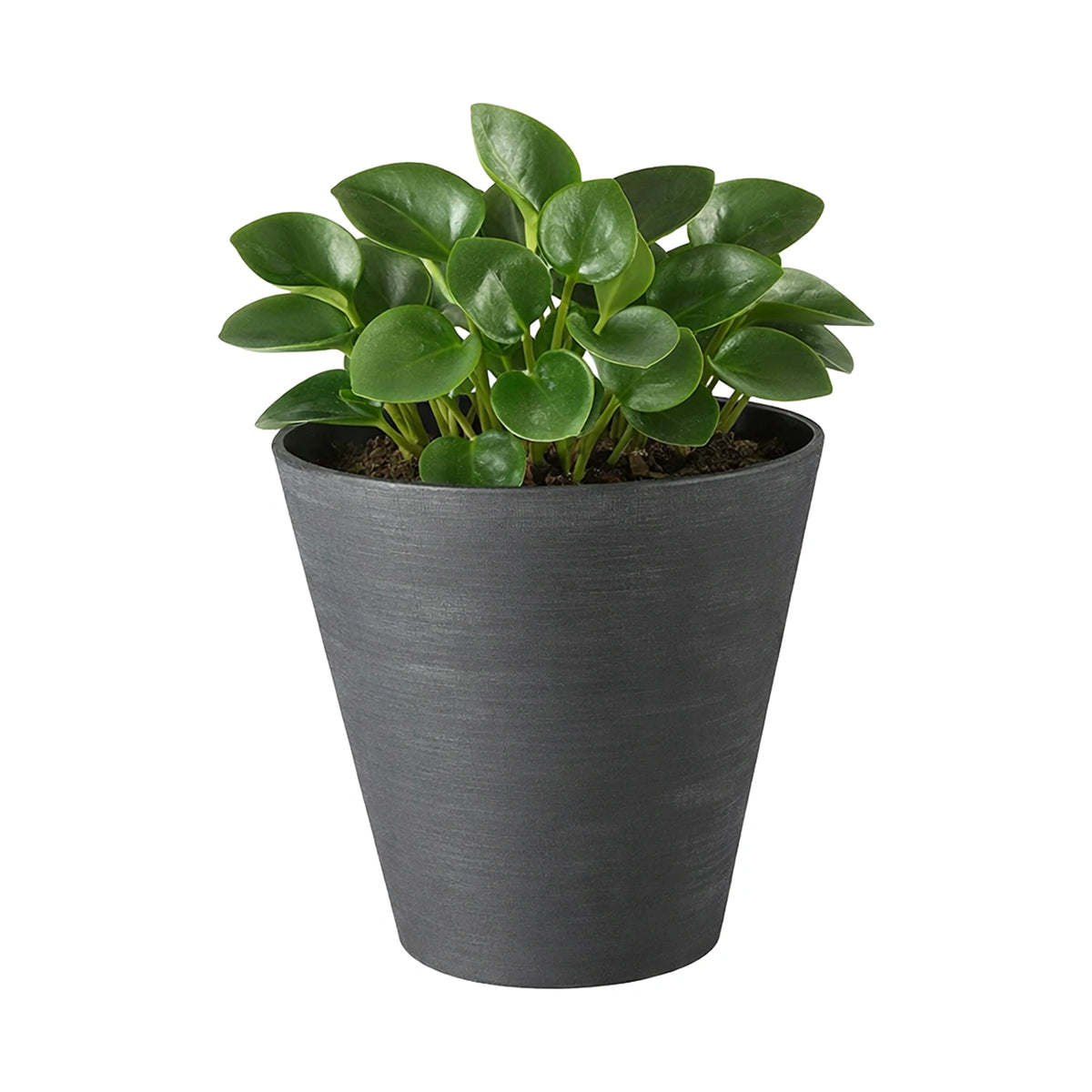 Respect Black 30cm Repot Self Watering Planter – large black plastic self watering repot pot for indoor and outdoor plants