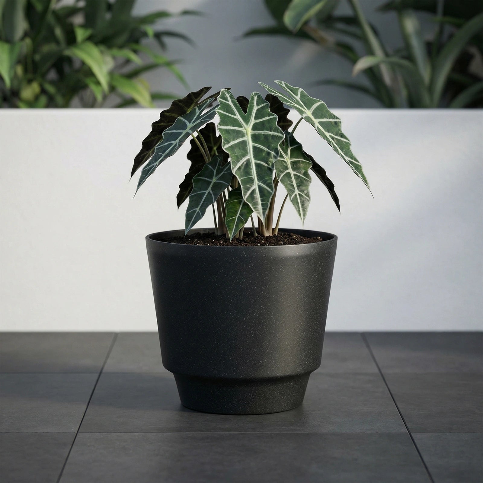 Respect Black 30cm Round Calais Self-Watering Plastic Pot Stonelook