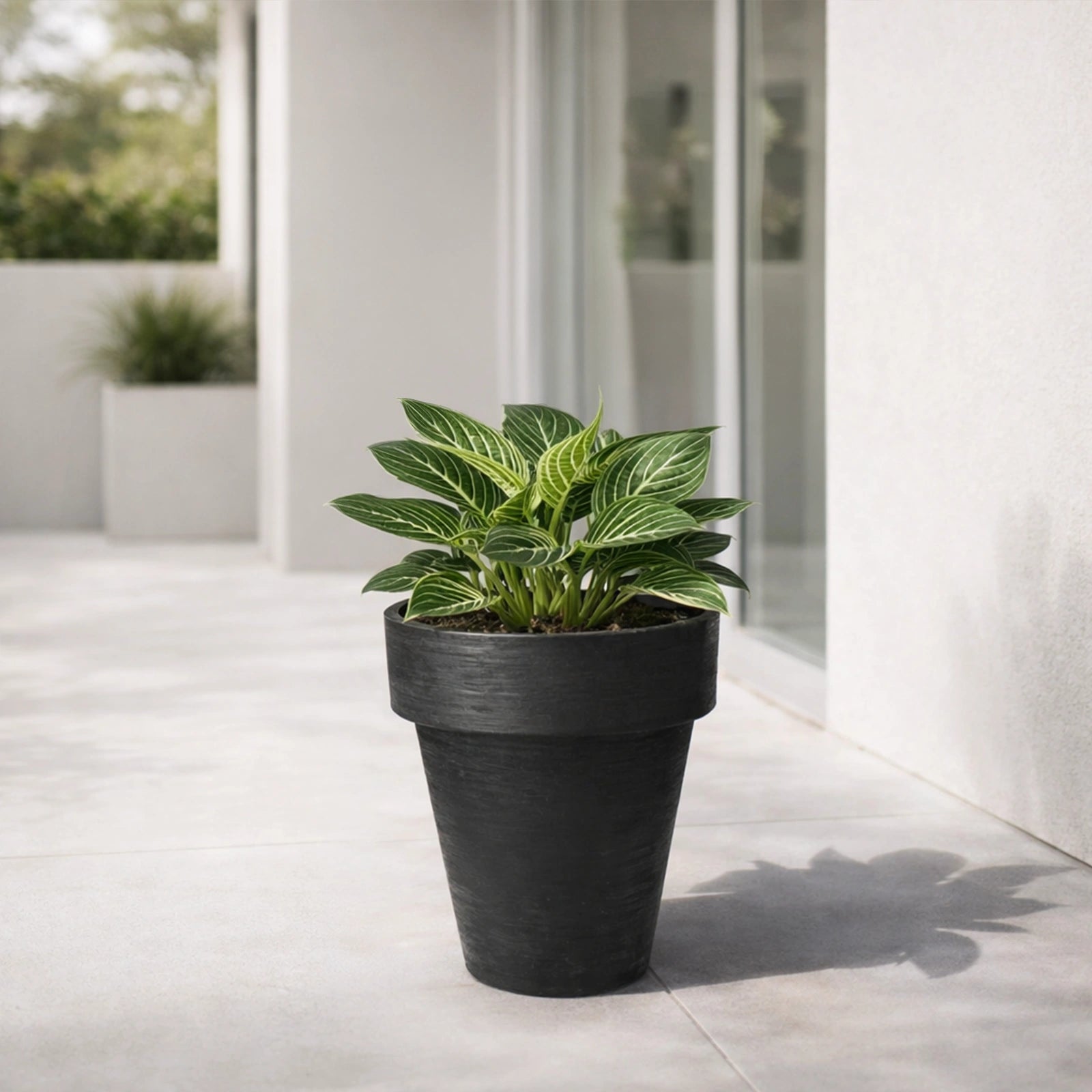 Respect Black 30cm Time Planter