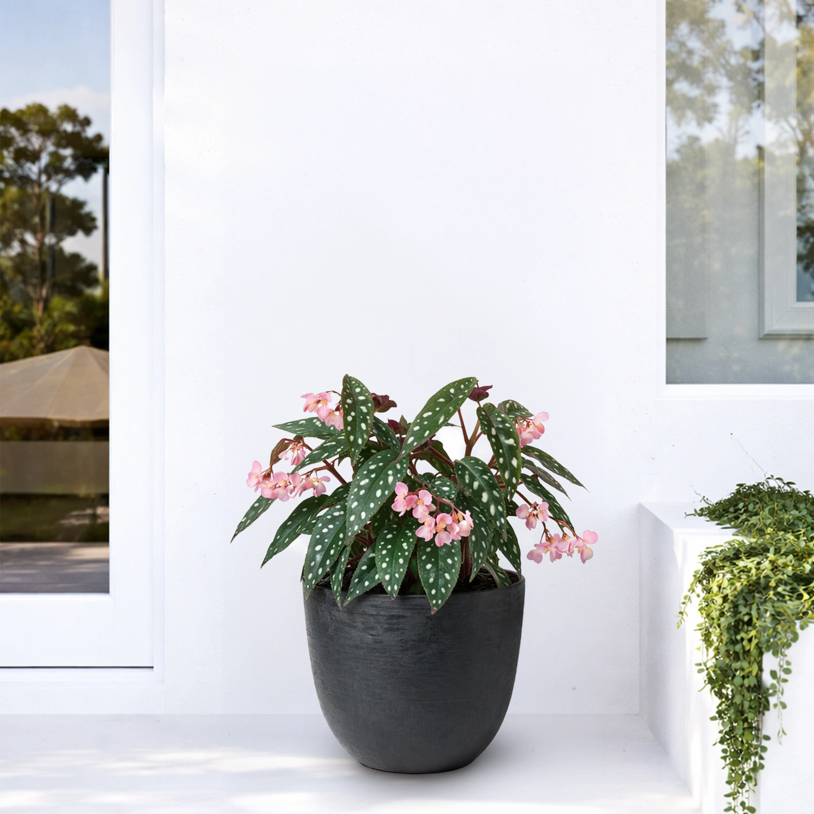 Respect Black 38cm Milano Self-Watering Planter