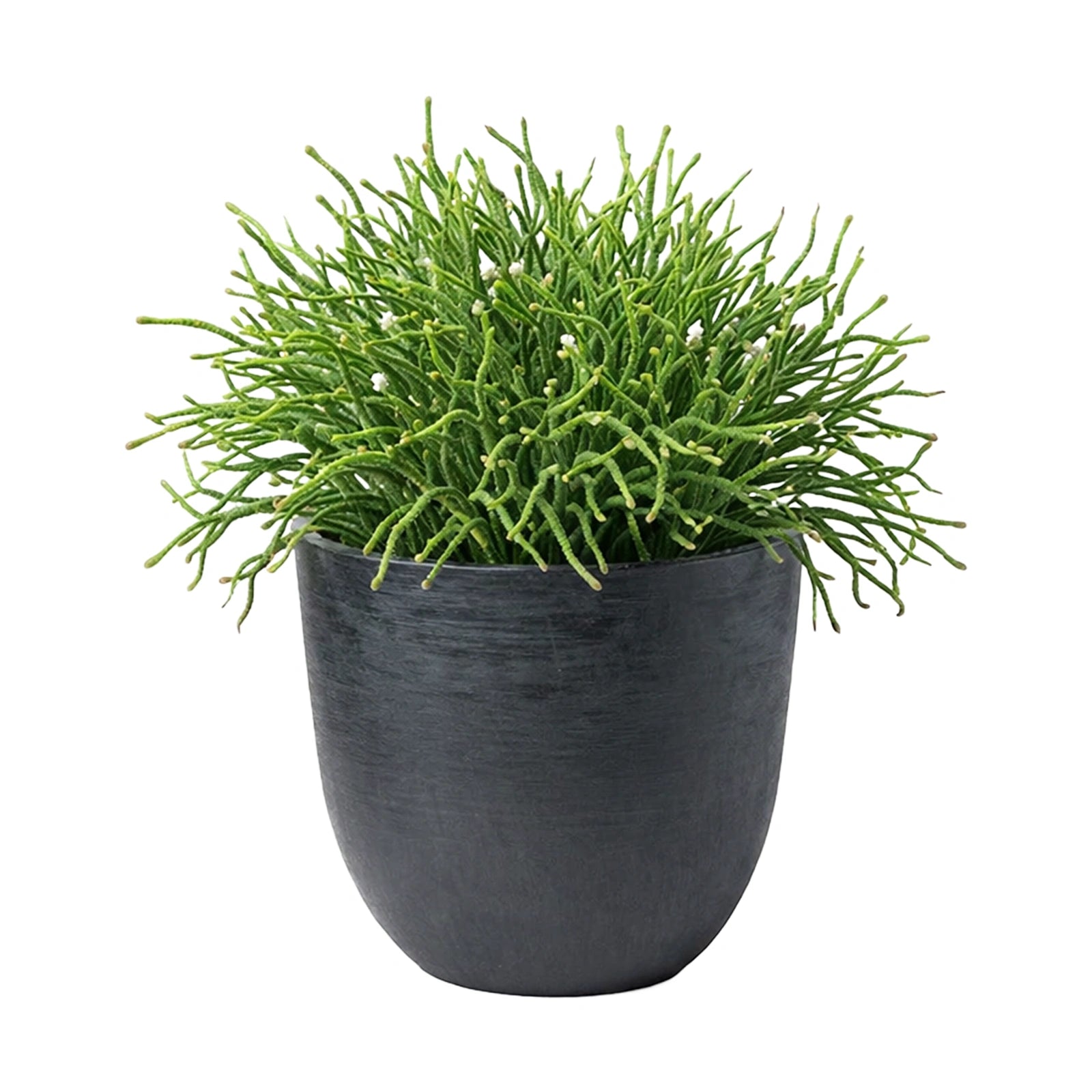 Respect Black 38cm Milano Self-Watering Planter