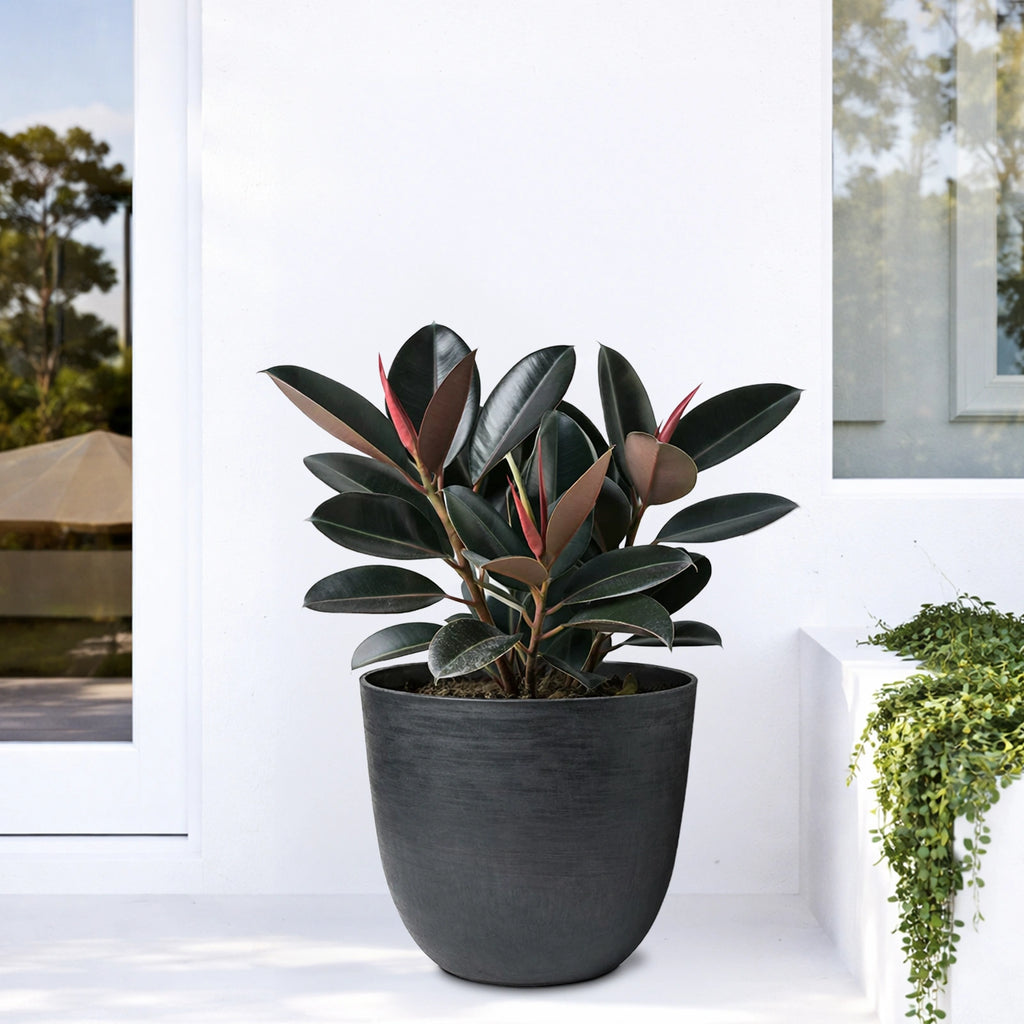 Respect Black 48cm Milano Self Watering Planter – large black self watering planter for outdoor balconies and windowsills