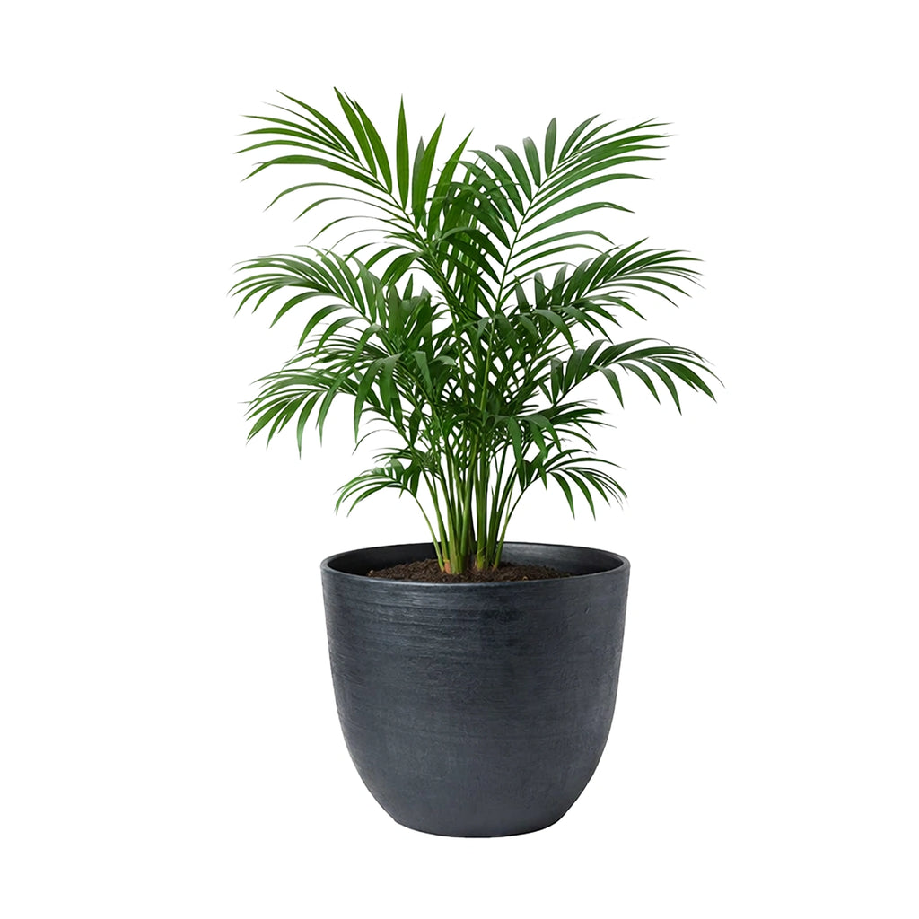 Respect Black 48cm Milano Self Watering Planter – large black self watering planter for outdoor balconies and windowsills