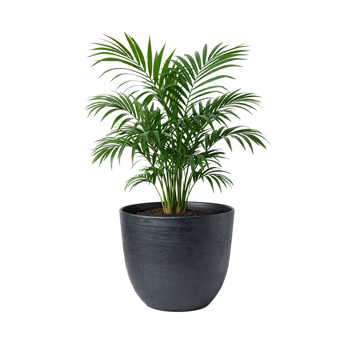 Respect Black 48cm Milano Self Watering Planter – large black self watering planter for outdoor balconies and windowsills