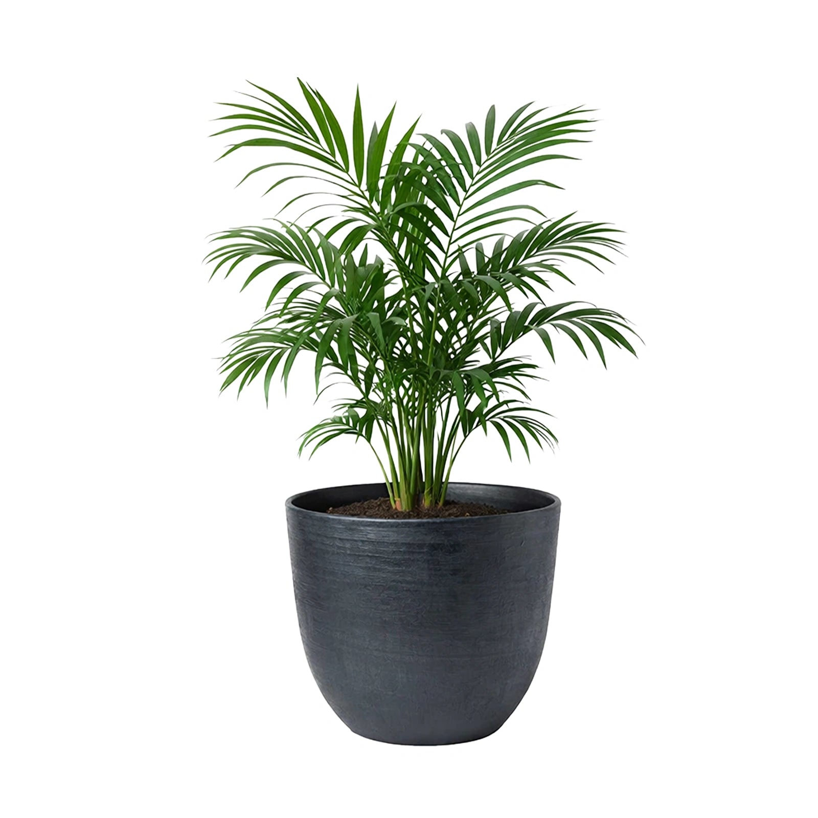Respect Black 48cm Milano Self-Watering Planter