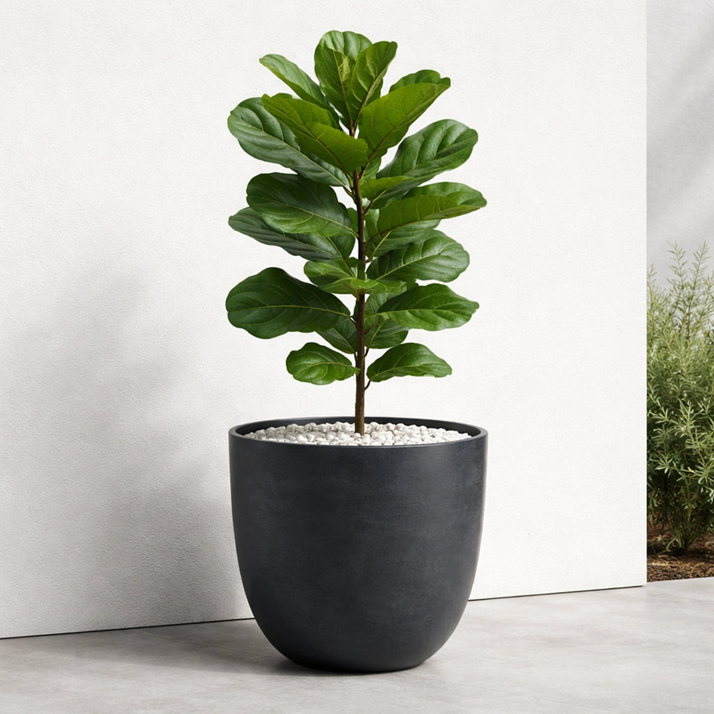 Respect Black 48cm Milano Self Watering Planter – large black self watering planter for outdoor balconies and windowsills