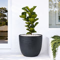 Respect Black 58cm Milano Self Watering Planter – extra large black self watering planter for patio and garden displays