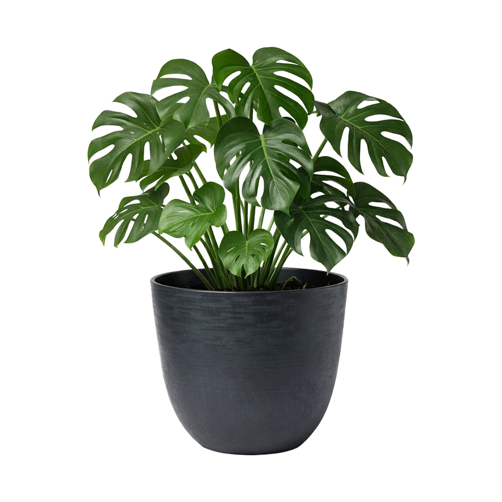 Respect Black 58cm Milano Self Watering Planter – extra large black self watering planter for patio and garden displays