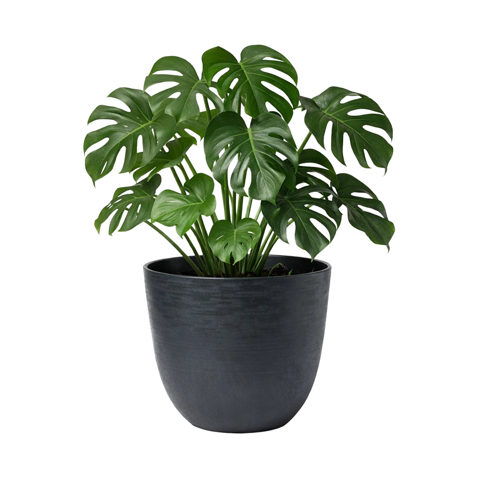 Respect Black 58cm Milano Self-Watering Planter