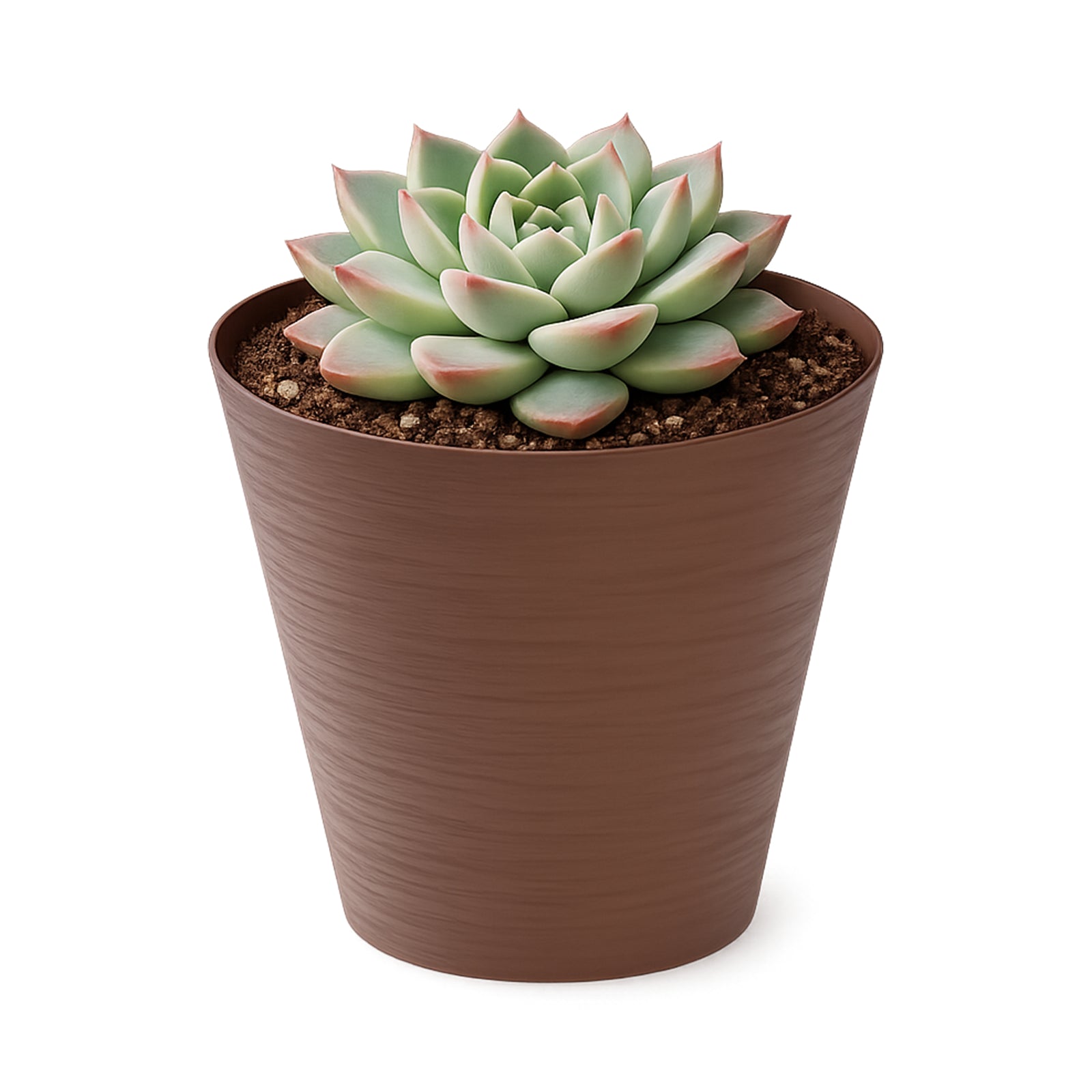 Respect Brown 16cm Terracotta Repot Self-Watering Planter