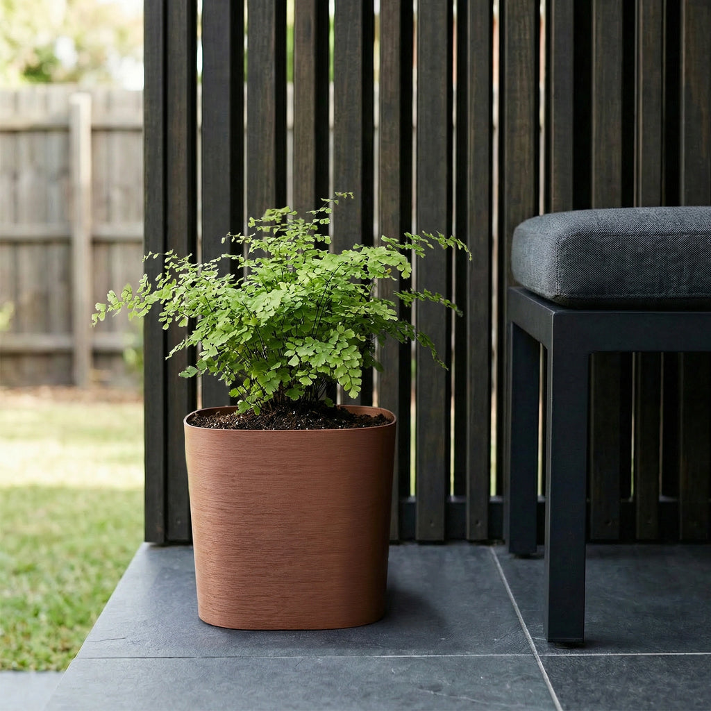 Respect Brown 24cm Terracotta Florence Self Watering Pot