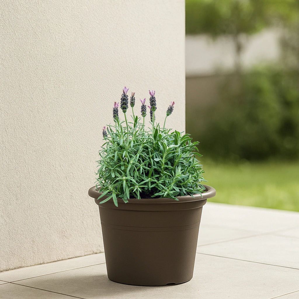 Respect Brown 30cm Cylinda Planter – classic brown cylinder garden pot for indoor and outdoor planting