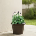 Respect Brown 30cm Cylinda Planter – classic brown cylinder garden pot for indoor and outdoor planting