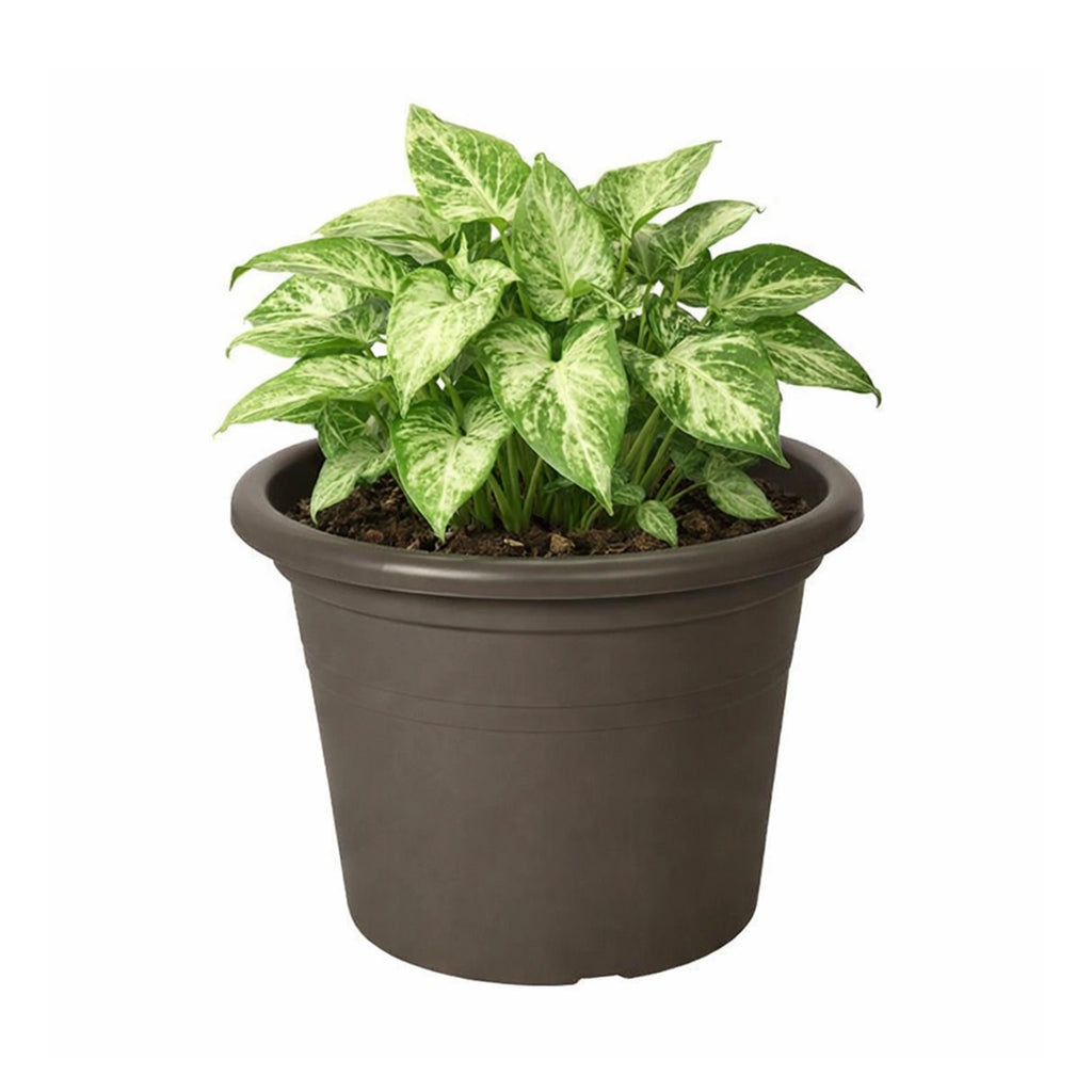 Respect Brown 30cm Cylinda Planter – classic brown cylinder garden pot for indoor and outdoor planting